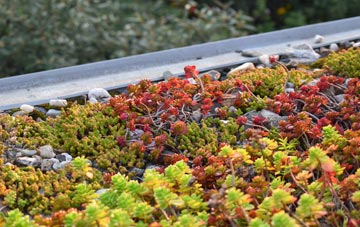 the cost of Ladycross green roof installation