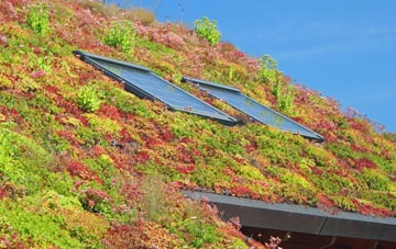 Ladycross living roof systems